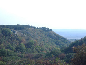 Csóri hírek