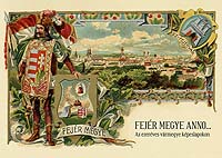 FEJÉR MEGYE ANNO – KÉPESLAPOKON