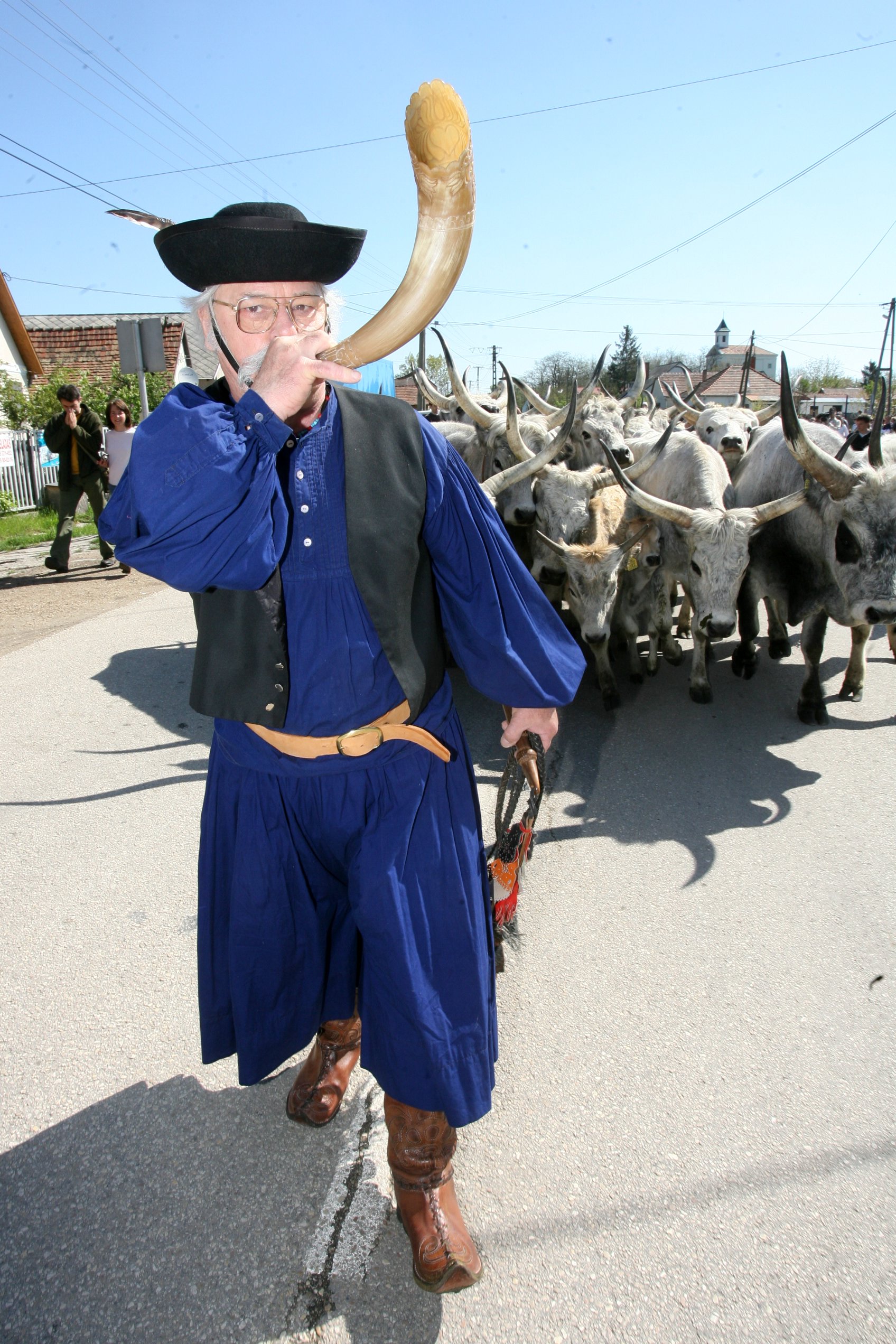 Behajtás Napja 