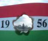 Meghívó - Pázmánd