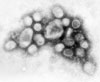 H1N1: iskolaszünet Fejérben is!