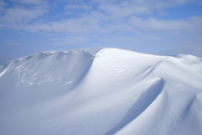 torlasz