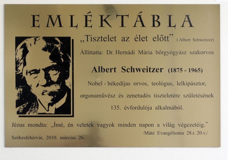 Albert Schweitzer emléktáblát avattak