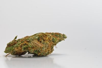 Megtalálták a rendőrök az elrejtett cannabist drog