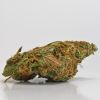 Cannabist termesztettek a kertben