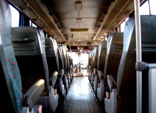 busz 