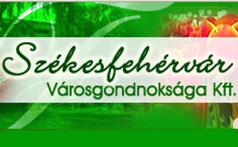 Olcsóbb lesz a villamos energia Székesfehérváron