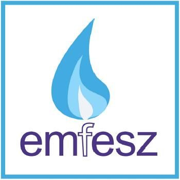 A Magyar Energia Hivatal január 5-én felfüggesztette az Emfesz Kft. kereskedelmi engedélyét, EMFESZ