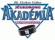 jégkorong