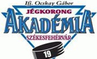 Jégkorong alapítványt hoztak létre Fehérvárott