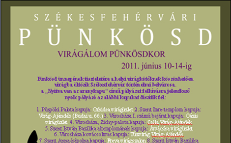 Folytatódik Székesfehérvár virágdíszbe öltöztetése