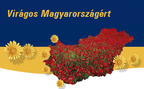 Díjat nyert Székesfehérvár a 'Virágos Magyarországért' országos versenyen