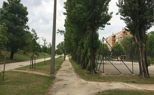 Új fákat ültetnek a Rádió lakótelepen