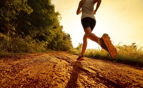 Fejér megyében is lesz Nyuszi-futás