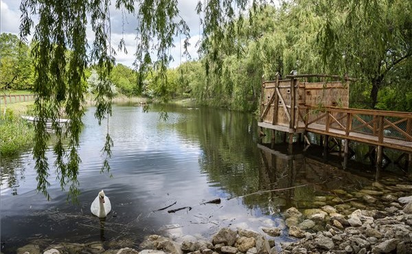 Átadták a Pákozd-Sukorói arborétum és vadaspark legújabb fejlesztéseit