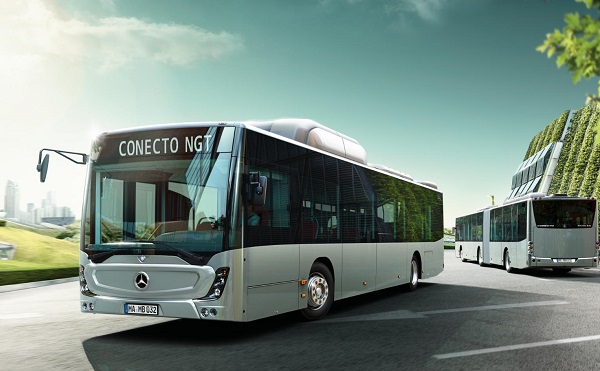 Új csuklósbuszok állnak forgalomba Székesfehérvár utcáin