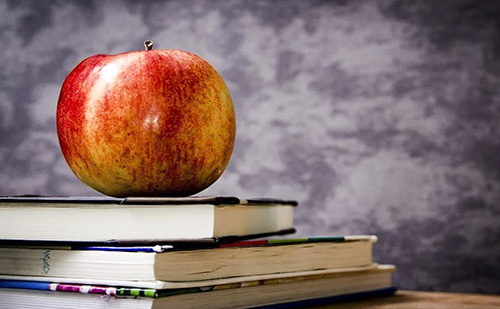 Székesfehérvárról is sok diák jelentezett az MCC Fiatal Tehetség Programjára